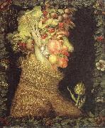 ARCIMBOLDO, Giuseppe Summer  dfdffdv oil